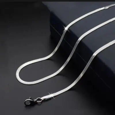 Life time Color Warranty Snake Silver Chain  Steel For Man